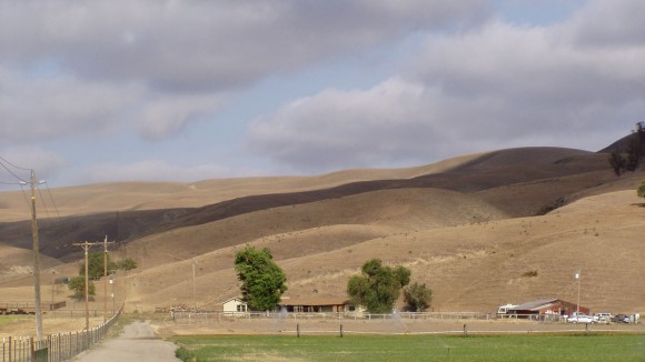 Halpin Ranch